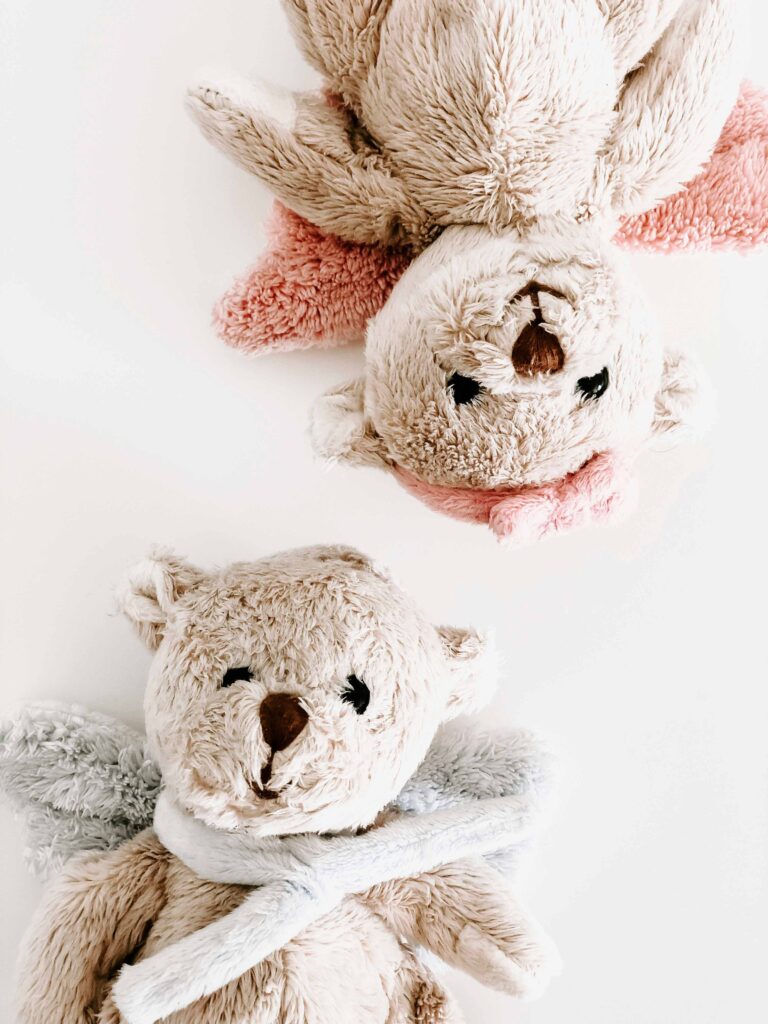 Two stuffed animals for children