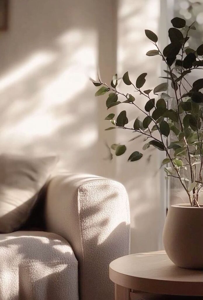 A couch with natural lighting